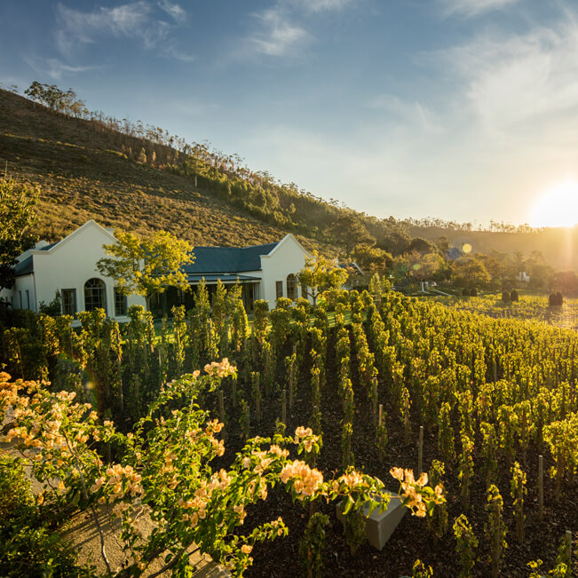 5b5f086d029e8-Architecture - Johan Malherbe02